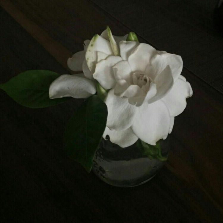 下司泰弘 - 独播剧场VIP在线观看 - 小程序观影